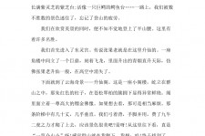 自贡旅游感想(张家界旅游感想)