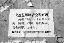 自贡珠海伴游雇用网(珠海游览社雇用信息)