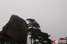 自贡上海伴游私家陪游雇用女模(上海伴游私家陪游雇用女模特)