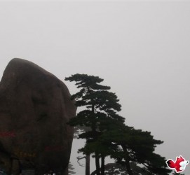 自贡上海伴游私家陪游雇用女模(上海伴游私家陪游雇用女模特)
