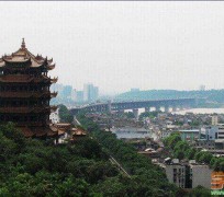 自贡武汉游玩攻略(武汉游玩攻略ppt)