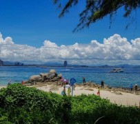 自贡自由行(自由行和跟团游哪个好)