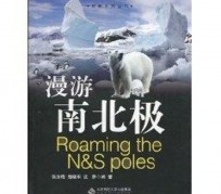 自贡游记攻略(ps西游记攻略)