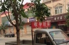 自贡上海伴游 用伴游造句大全(5