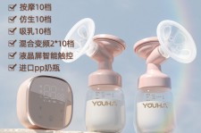 自贡奶模(奶模型)
