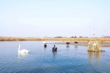 自贡南昌附近伴游小妹兼职(1534939978姐的微信德惠市)