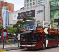 自贡上海私人伴游 上海过年怎么玩？这些“微游”线路了解下→