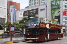 自贡上海私人伴游 上海过年怎么玩？这些“微游”线路了解下→