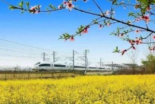 自贡高铁游(高铁游戏下载手机版)