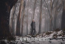 自贡上海私人伴游 上海伴游，上海兼职伴游安全吗