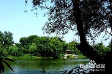 自贡西湖旅游攻略(上海到杭州西湖旅游攻略)