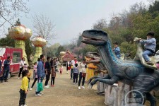 自贡中国伴游带你打卡网红南山竹海(南山竹海网上预约)