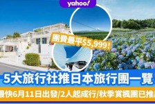 自贡旅游价格(旅游价格机制)