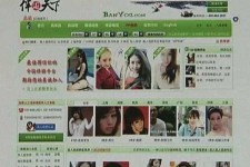 自贡home伴游中国(zarahome乳胶枕)