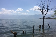 自贡洱海旅游攻略(洱海旅游攻略自由行)