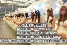 自贡雇用旅游男伴游(北京商务酒店雇用伴游)