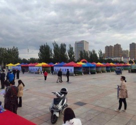 自贡通辽伴游雇用(哈尔滨伴游雇用)