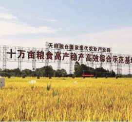 自贡关于成都商务伴游外围雇用的信息