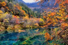 自贡四川旅游攻略(四川旅游攻略十五日游)