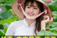 自贡日本关东伴游中国(日本关西旅行)