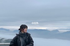 自贡四日游(朝鲜四日游)
