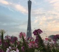 自贡广州旅游攻略(杭州到广州旅游攻略)