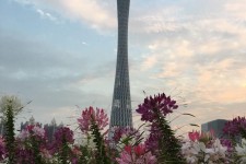 自贡广州旅游攻略(杭州到广州旅游攻略)