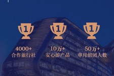 自贡上海私人伴游 ​ “小而美”的新时代：2020年国内新跟团消费报告