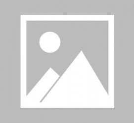 自贡最新导游伴游雇用信息(最新导游伴游雇用信息大全)