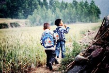 自贡河南一家四口结伴游中国2个月(河南适合一家四口旅游的地方)