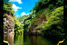 自贡旅游报价(旅行团旅游报价)