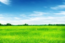 自贡上海伴游 上海模特伴游微信号的交友宣言
