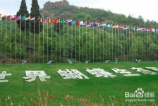 自贡昆明旅游攻略(昆明旅游攻略景点大全抚仙湖)
