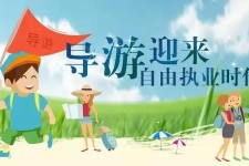 自贡私人伴游 “网约导游”到底是正流行 还是不热闹