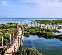 自贡旅游哪里好玩(云南旅游哪里好玩)