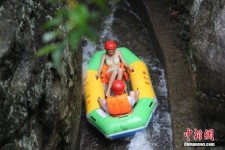 自贡伴游中国三亚(三亚结伴旅游网)
