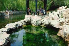 自贡济南旅游攻略(青岛威海济南旅游攻略)
