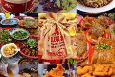 自贡重庆游玩攻略(重庆游玩攻略3天费用2人)