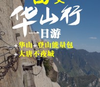 自贡一日游(一日游需要准备些什么东西?)
