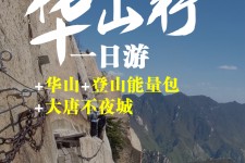 自贡一日游(一日游需要准备些什么东西?)