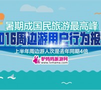 自贡周边游(周边游哪里有免费好玩的地方)