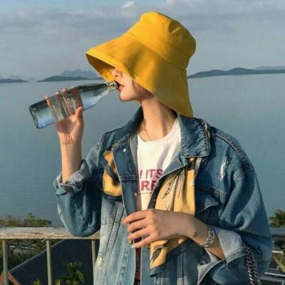 自贡让伴游为你导游，尽享玩耍的乐趣