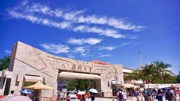 厦门旅游攻略(厦门旅游攻略自由行)